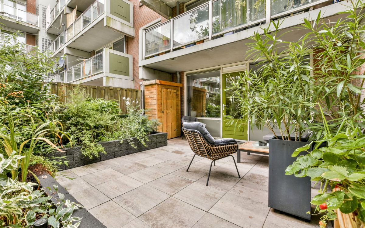 patio con plantas